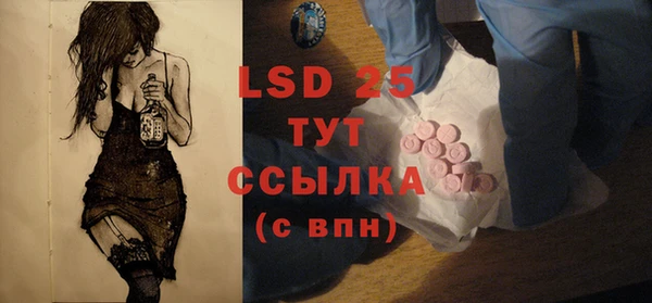 индика Нея
