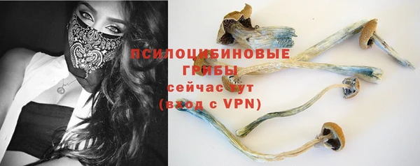 индика Нея