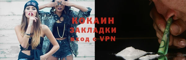 индика Нея