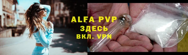 индика Нея