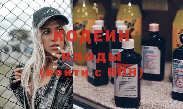 индика Нея