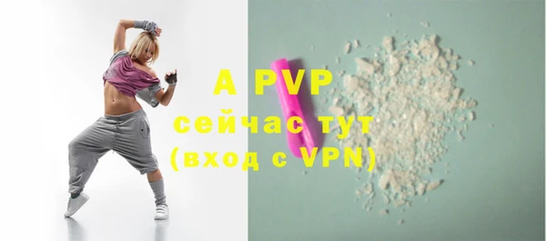 индика Нея