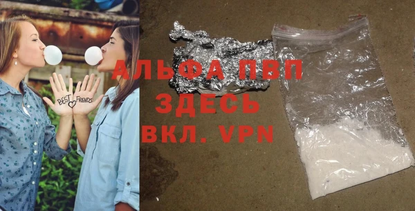 индика Нея