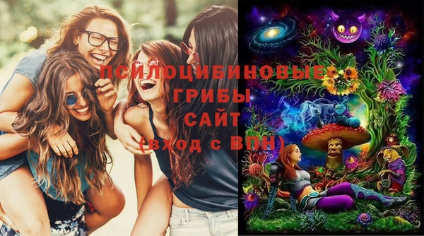 индика Нея
