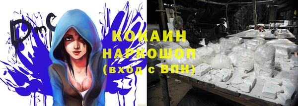 индика Нея