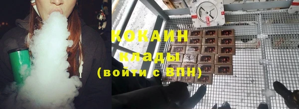 индика Нея