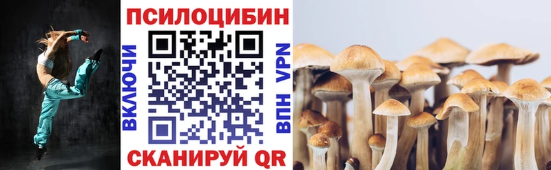 Псилоцибиновые грибы Psilocybe  Купить где  Магнитогорск